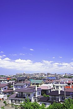 phân tích lô bạch thủ