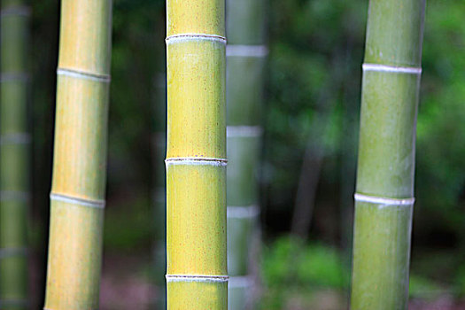 lô đẹp ngày hôm nay