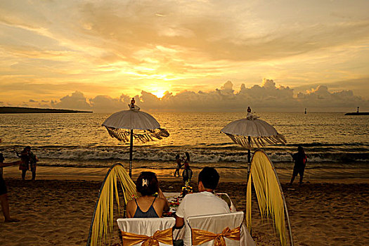 soi cau bach thu tp