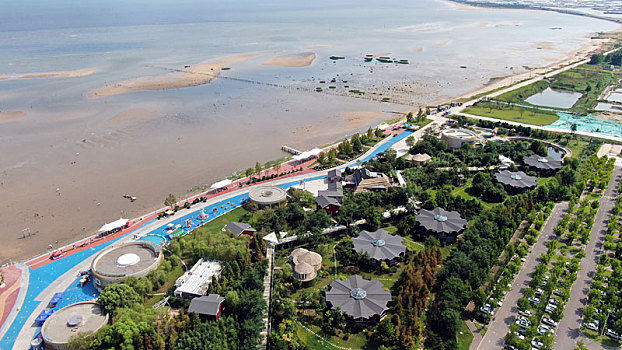 soi cau bach thu xsmb