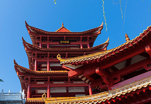 soi cau bạch thu