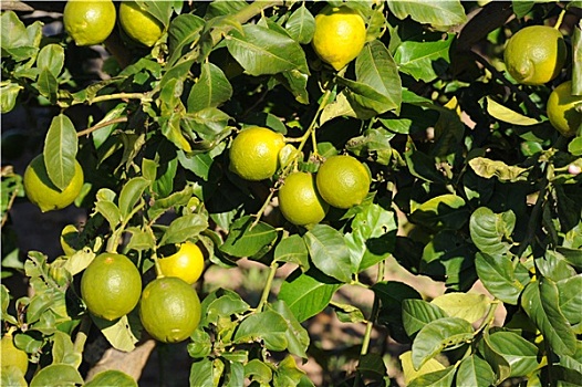 kết quả xổ số miền nam
