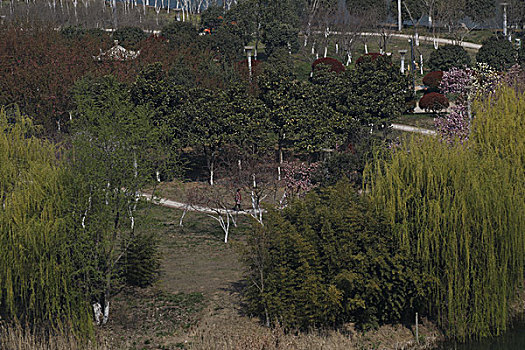 soi cau du doan