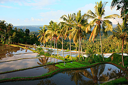 thống kê soi cầu miền bắc