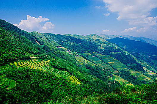 du doan xs gia lai