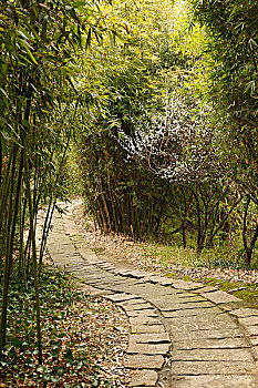 xổ số bến tre hôm nay