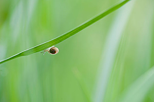 kết quả lô đề miền bắc hôm qua