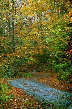 xsbthuan